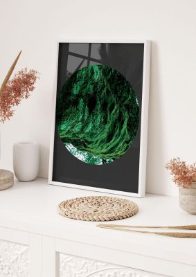 An unframed print of black back green plant disc series four nature photograph in green and black accent colour