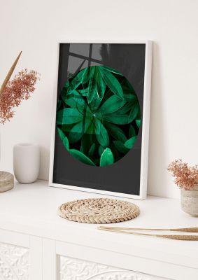 An unframed print of black back green plant disc series five nature photograph in green and black accent colour