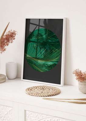 An unframed print of black back green plant disc series seven nature photograph in green and black accent colour