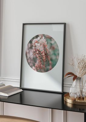 An unframed print of flower disc botanical photograph in grey and green accent colour