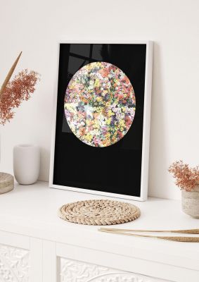 An unframed print of flower disc black botanical photograph in multicolour and black accent colour