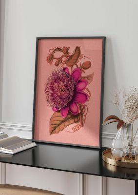 An unframed print of vintage tropical style plant botanical illustration in pink and green accent colour