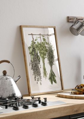 Harmonious Hanging Herbs Illustration