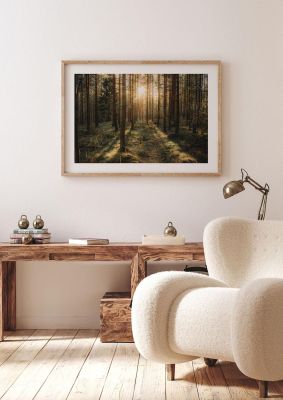 An unframed print of forrest lanscape uppsala sweden travel photograph in brown and green accent colour