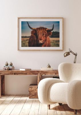 An unframed print of hochlandrind portrait photograph in brown and blue accent colour