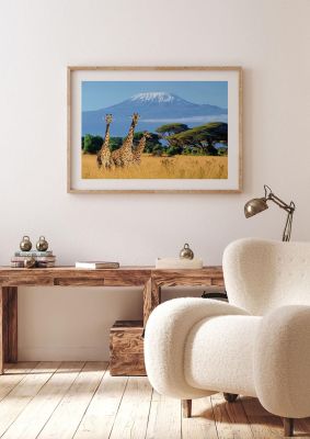 An unframed print of three giraffes in national park of kenya photograph in blue and yellow accent colour