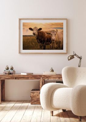 An unframed print of 2 cows in sunset photograph in beige