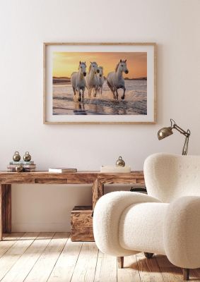 An unframed print of white horses on a beach camargue france photograph in beige and white accent colour