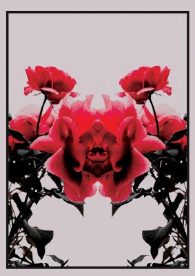 An unframed print of symmetrical flower one nature photograph in pink and black accent colour