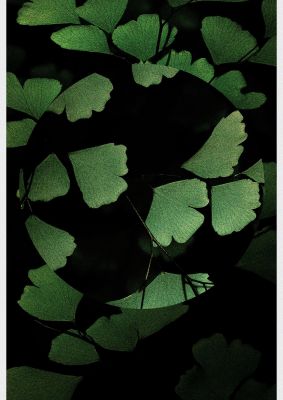 An unframed print of leaf disc nature photograph in green and black accent colour