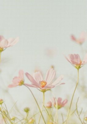 An unframed print of halftone daisy botanical photograph in beige and lilac accent colour