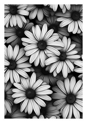 Monochrome Daisy Impressionist Art