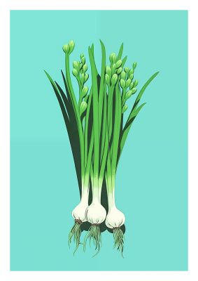 Spring Onions in Minimalist Art