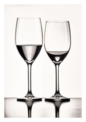 Refined Wine Glasses in Monochrome