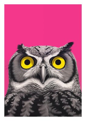 Black and White Owl Sketch with Pink Backdrop