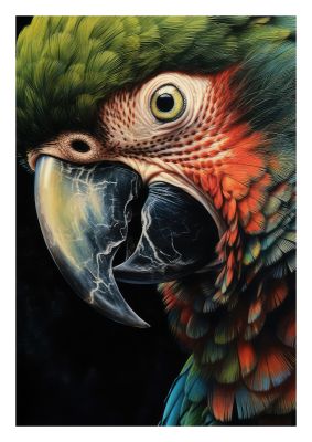 Intense Close-up of Parrot Beak and Feathers - Wildlife Art