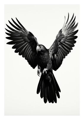 Powerful black macaw parrot in flight monochrome art