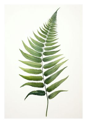 Green Fern Art Print with Minimalist Design