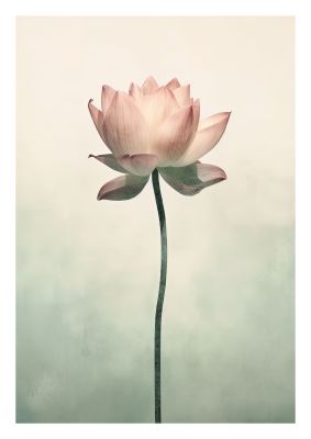 Elegant lotus flower with delicate pastel petals in minimalistic art