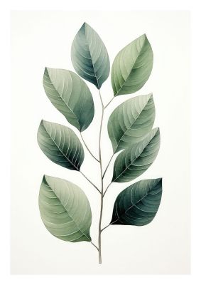 Detailed botanical illustration of green leaves in minimalist style