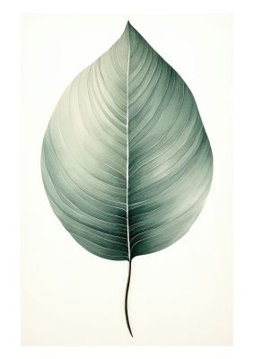 Single green leaf botanical illustration in minimalist style