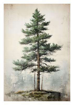 Classic pine tree botanical illustration with a vintage touch