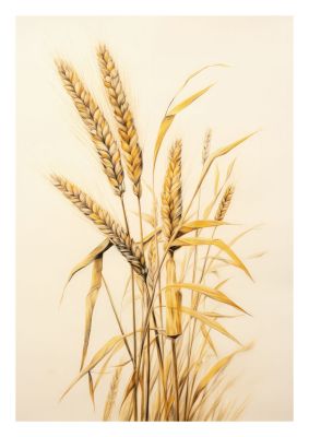 Golden wheat field illustration with detailed grain stalks