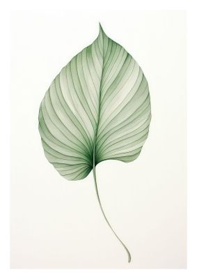 Minimalist leaf illustration with detailed vein structure on white background