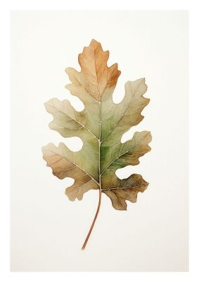 Autumn leaf illustration with gradient colours on white background