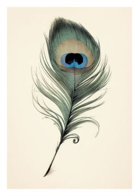 Classic peacock feather illustration with a focus on blue and green hues