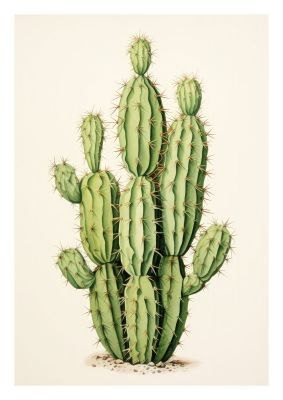 Green cactus illustration perfect for adding a touch of desert vibe to any room's decor