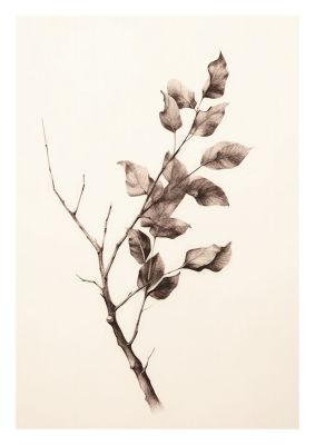 Monochrome branch and leaves illustration for minimalist and elegant decor